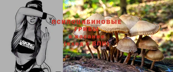 PSILOCYBIN Заволжье