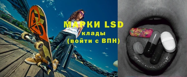 PSILOCYBIN Заволжье